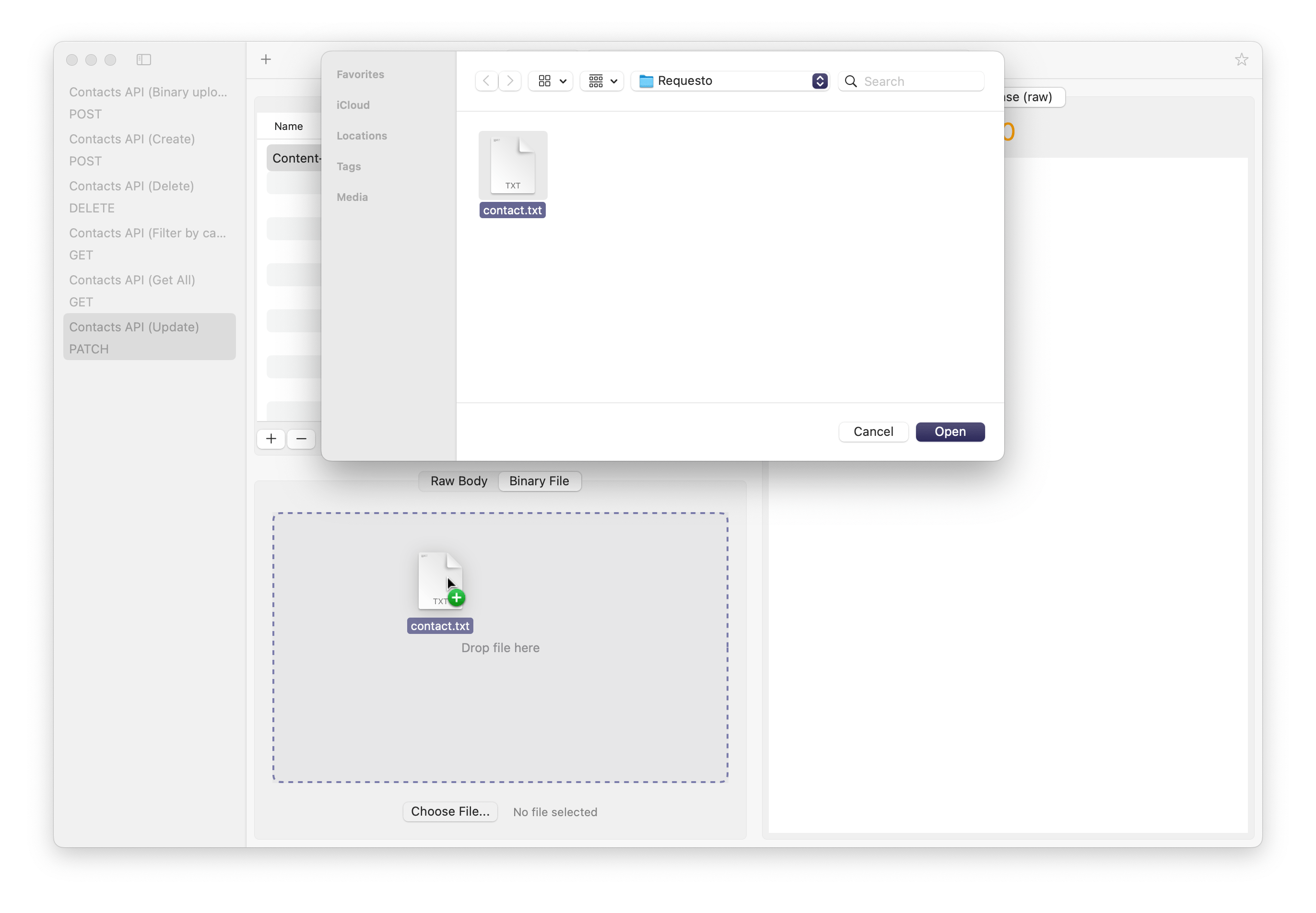 Requesto upload binary file screenshot